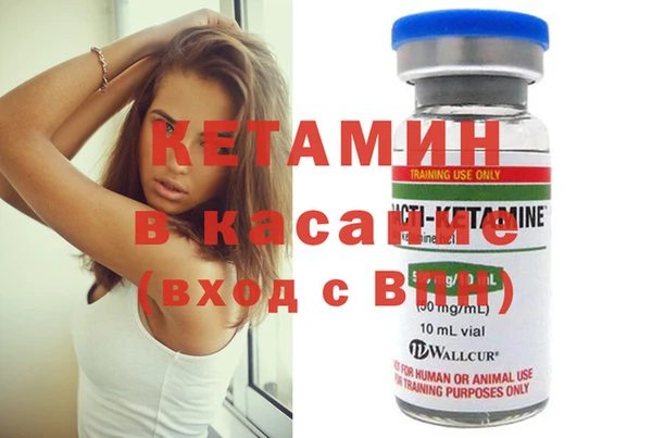 шишки Арсеньев