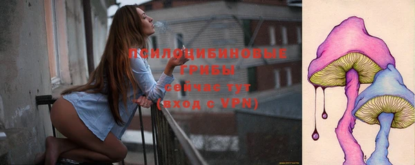 МДПВ Алзамай