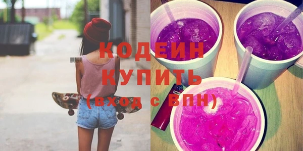 шишки Арсеньев