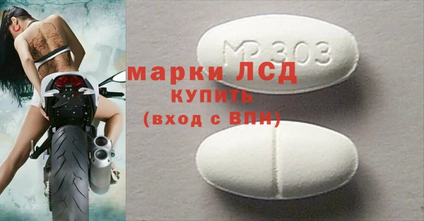 гидра Михайловка